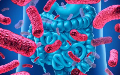 Dysbiosis Test: Platforma GA-map® për analizimin e mikrobiomës intestinale (të zorrëve)